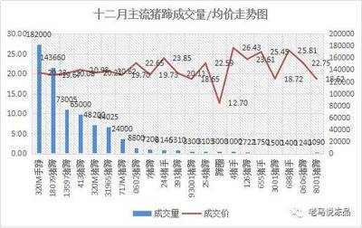 腊冬备货季将至 年猪行情顺势开启